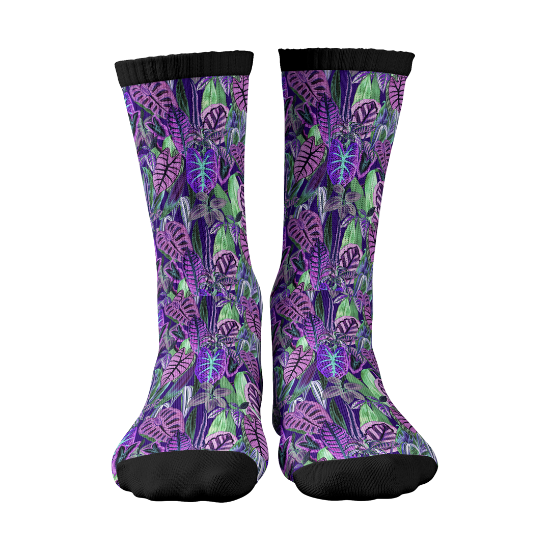Jungle Haze image 0